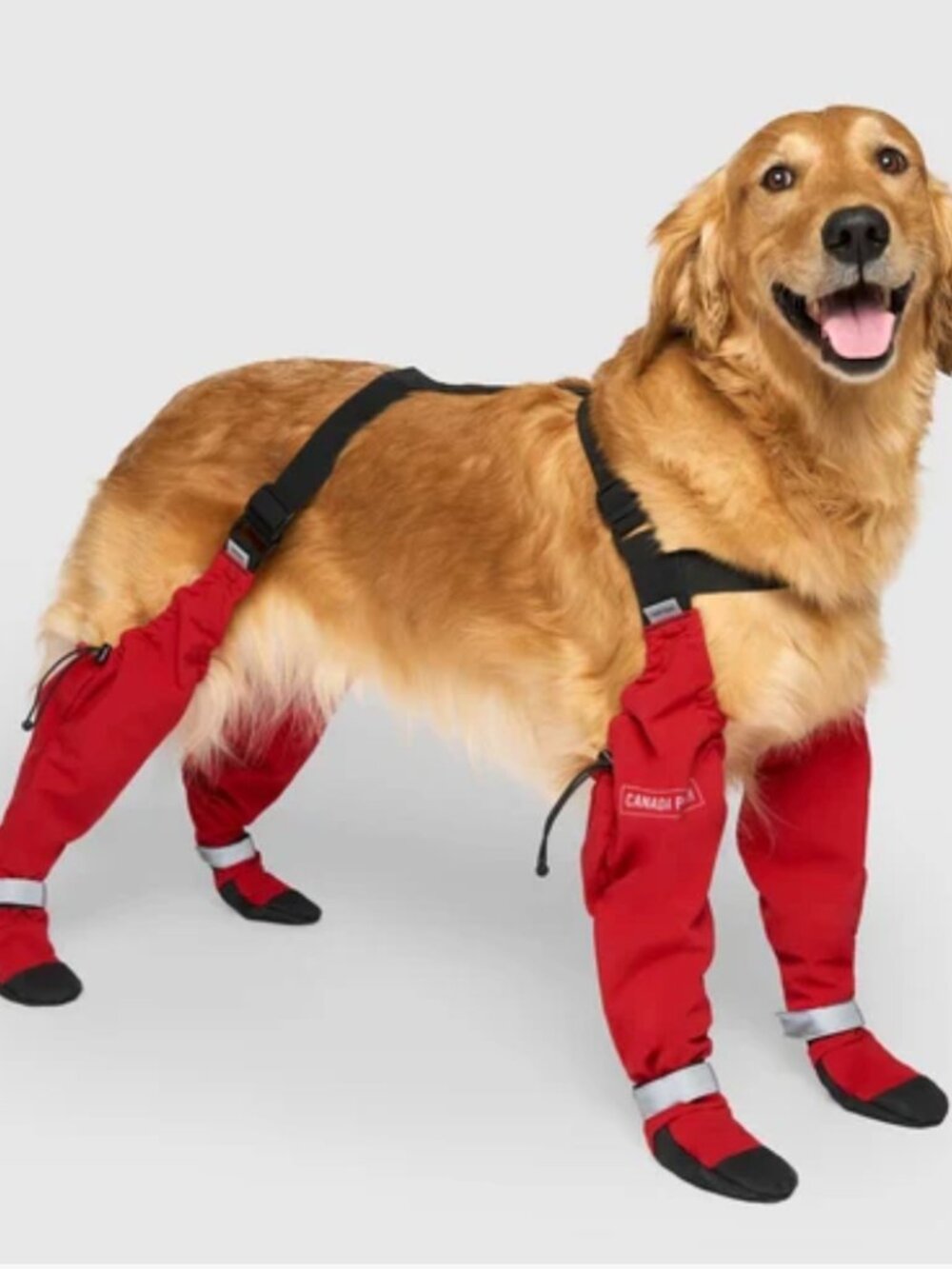 NWT Canada Pooch Suspender Dog Boots, Red, Size 5